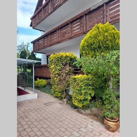 Souterrain Wohnung In Bensheim Exteriér fotografie