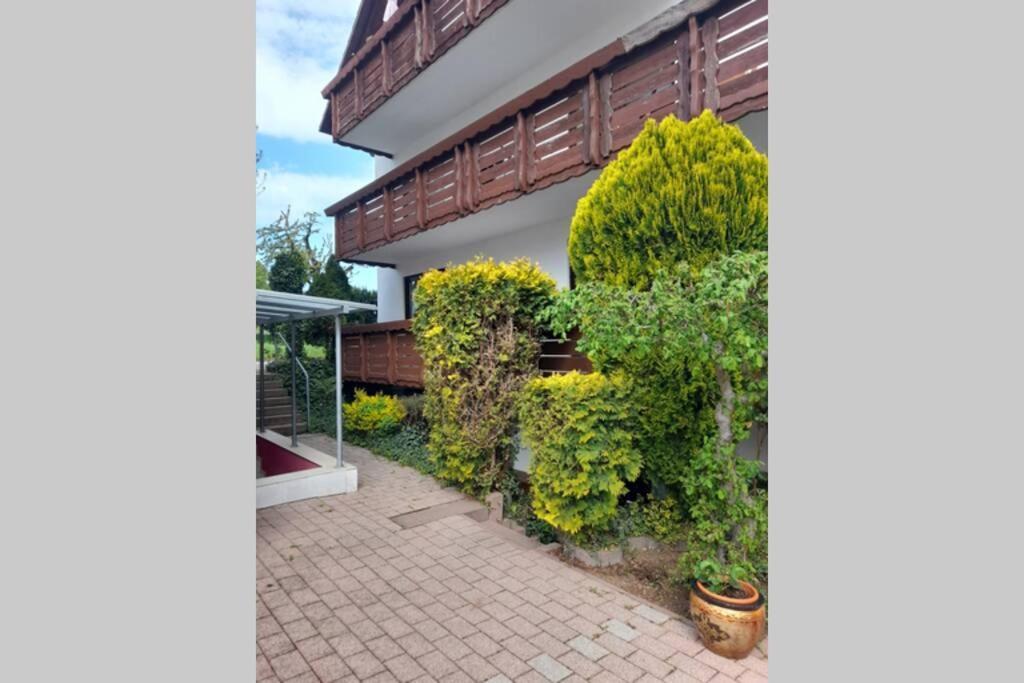 Souterrain Wohnung In Bensheim Exteriér fotografie
