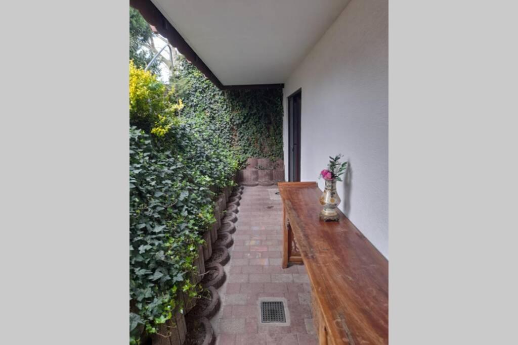 Souterrain Wohnung In Bensheim Exteriér fotografie